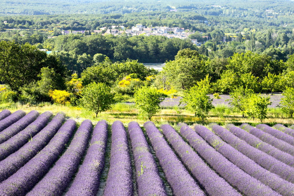 La Bugadiere Salles-sous-Bois Buitenkant foto